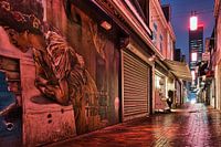 De Doelesteeg Leeuwarden