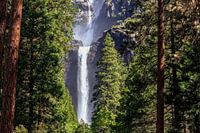 Chutes de Lower Yellowstone