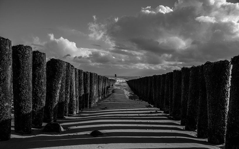 Noir et blanc par Stephan Scheffer