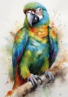 aquarelle d'oiseau