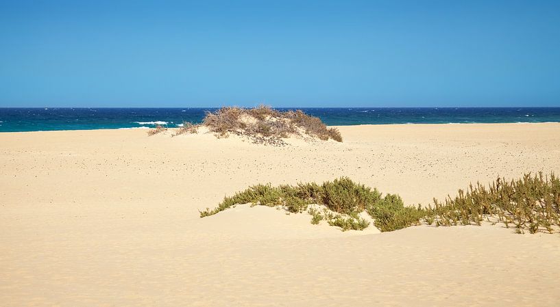 Beach by Bo Valentino