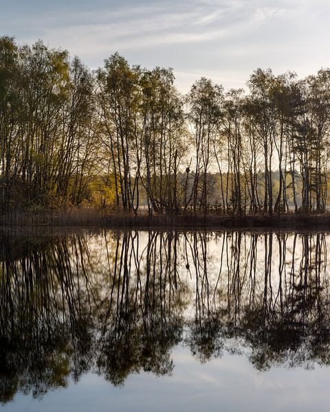 Early Morning Quietness by Ronald Smeets Photography