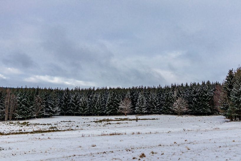Promenade hivernale sur les hauteurs de la forêt de Thuringe par Oliver Hlavaty