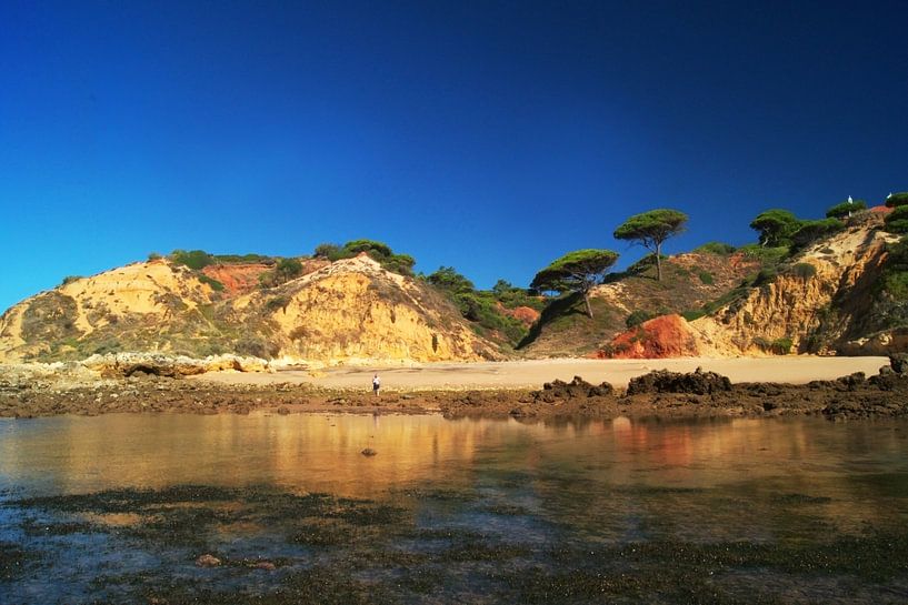 portugal par bob van den berg