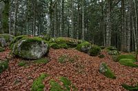 Germany - Black Forest - Günterfelsen