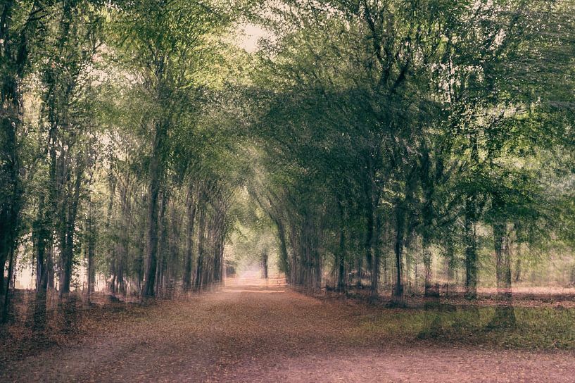 Le Ginkel partie 6 par Tania Perneel