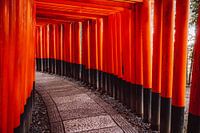 Red gates at the Fushimi Inari-taisha in Kyoto