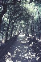 Boboli Gardens in Florence