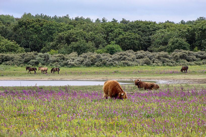 Alles reine Natur von Shirley Douwstra