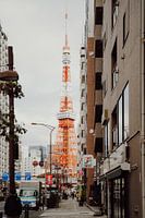 Natürliche Gelassenheit: Eine balinesische Reisfeld-Symphonie Ikonische Eleganz: Tokio Tower im Tageslicht