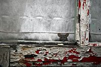 La souris dans la maison