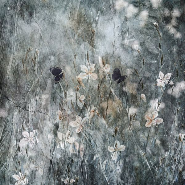 Tanz mit Freude von Delphine Devos