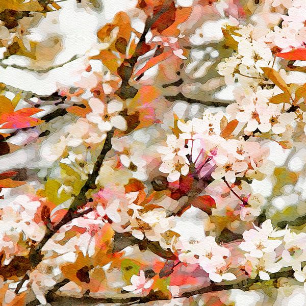 Blossom by Andreas Wemmje