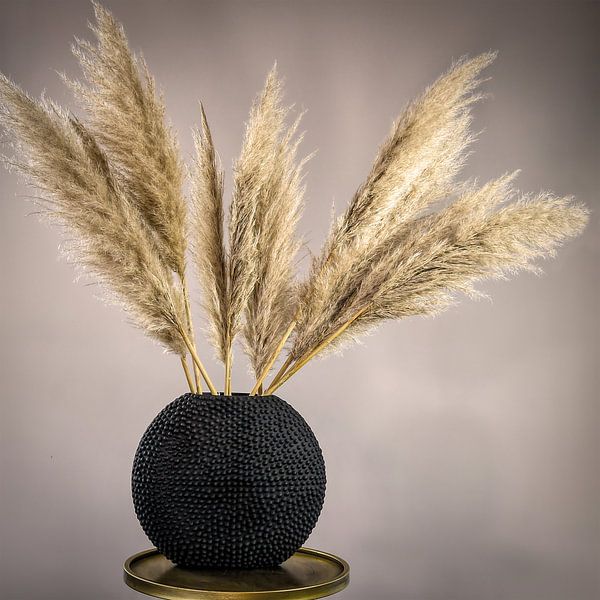 Federn in schwarzer Vase von By Marjolein Design