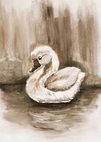 Small swan in the water