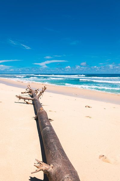 Beautiful White Beach with Bright Blue Water (Pantai Nunggalan Beach) in Bali, Indonesia by Troy Wegman