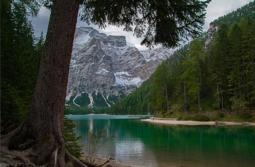 Dolomiten von Samantha Rorijs