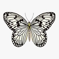 Butterfly black and white