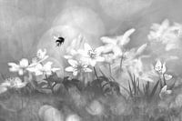 Spring is in the Air!