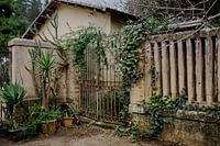 Roestig hek met klimop