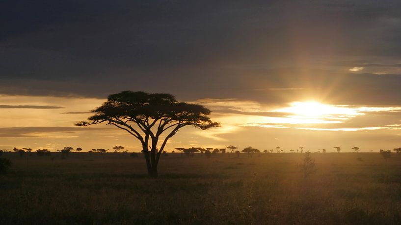 Sunrise in Africa on the savannah in Tanzania by Robin Jongerden