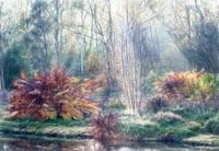 Malerische Herbstwald 