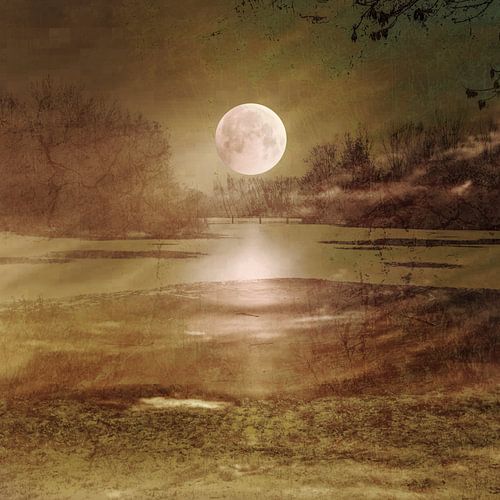 In the moonlight. by Alie Ekkelenkamp