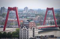 Willemsbrug