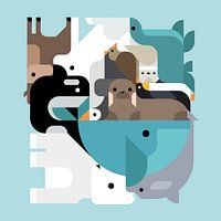 Mixed-Animals - Antarctica