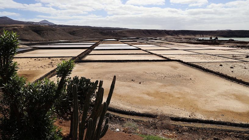 Salnis de Janubio par Henk Langerak