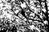 Atomischer Frühling