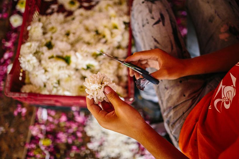 Bloemen knippen by Wilko Visscher