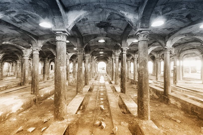 Abandoned cement factory by Truus Nijland