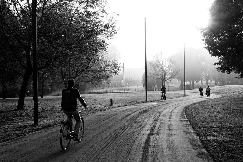 Vroege ochtend von Jeroen Knippenberg