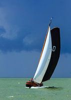 Skutsje van Drachten op het IJsselmeer