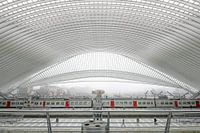 Zug im Bahnhof von Lüttich
