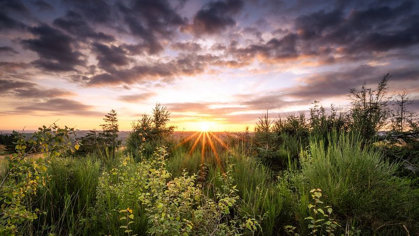 Sunset in the Harz von Steffen Henze