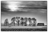 Winter im Hoeksche Waard 2