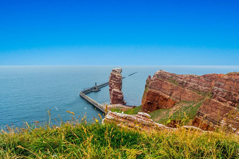 Vue du Lange Anna Felsen sur l'Helgoland par Animaflora PicsStock