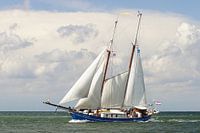 Schooner Stortemelk