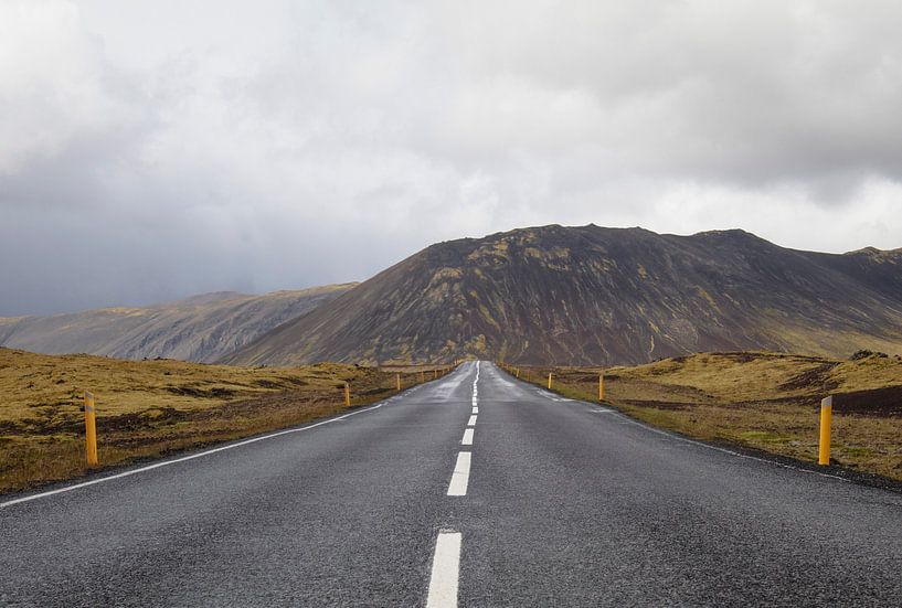 Road Trip von iris hensen