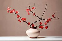 Japandi Kirschblütentraum