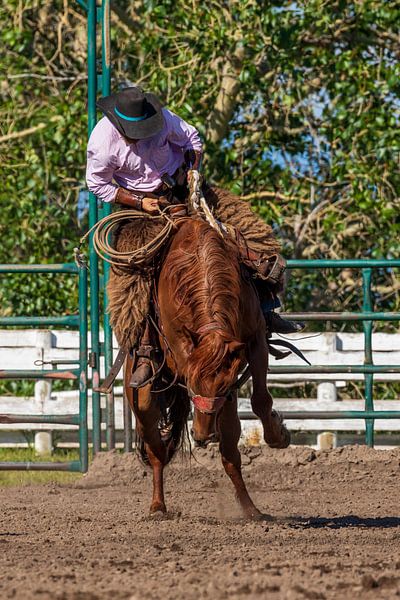 Rodeo im Wilden Westen von Roland Brack