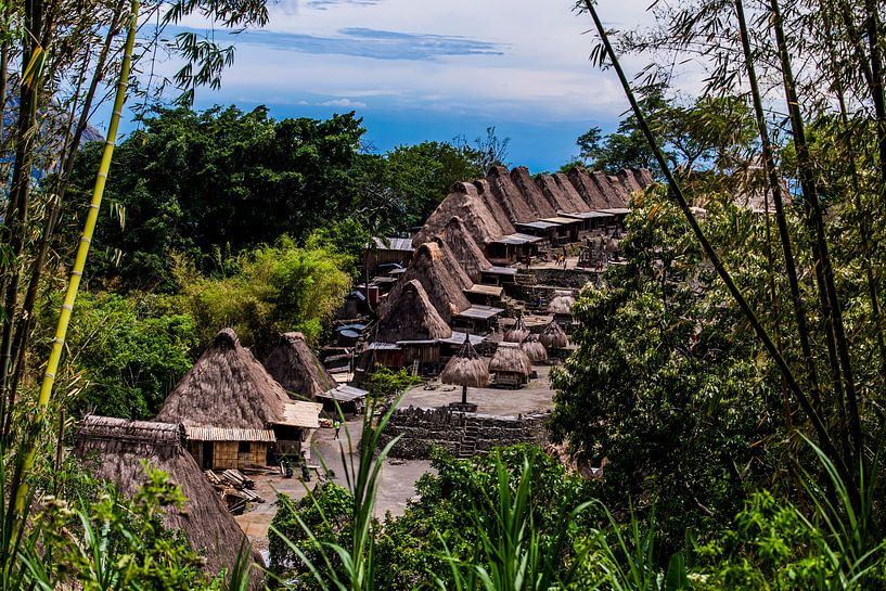 Traditional village of Bena by Corrine Ponsen