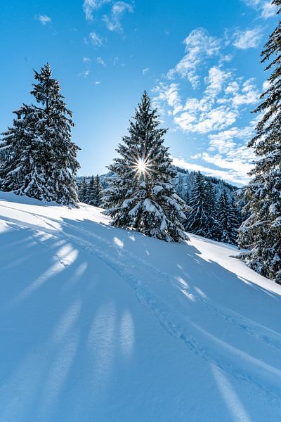 Sonne, Winter, Schnee am Hochgrat von Leo Schindzielorz