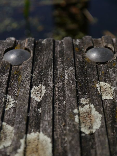 knock on wood by Marloes Vissers-Schurman