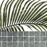 Palm Leaves on Tiles