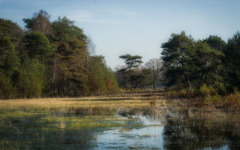 In the quietest moments by Mart Houtman