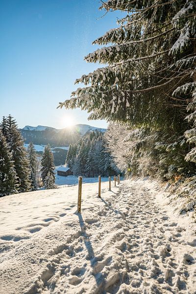 Winterlicher Blick auf den Hochgrat zum Morgen von Leo Schindzielorz