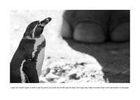 Hoe Kijkt Autisme: Lomp